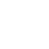 Certified quality & safety Icon