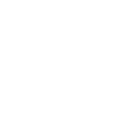 Lawson Renewables Icon