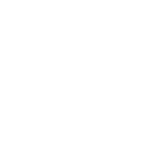 Re wiring Icon