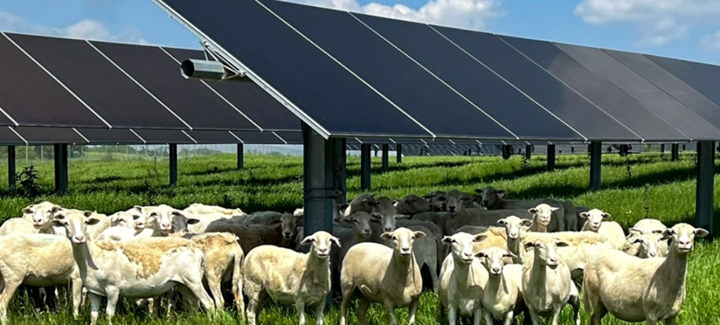 agricultural solar panels Yorkshire