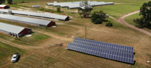 poultry farm ventilation installation
